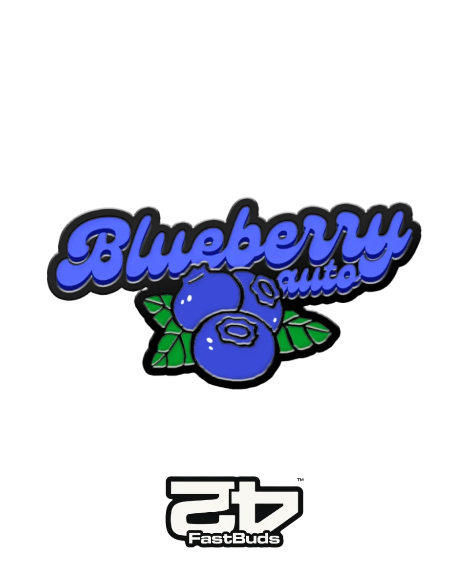 Blueberry Auto Cannabis Samen von 420 Fast Buds – autoflowering, feminisiert, süßes Blaubeer-Aroma