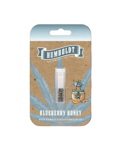 Blueberry Honey Humboldt Seed Company