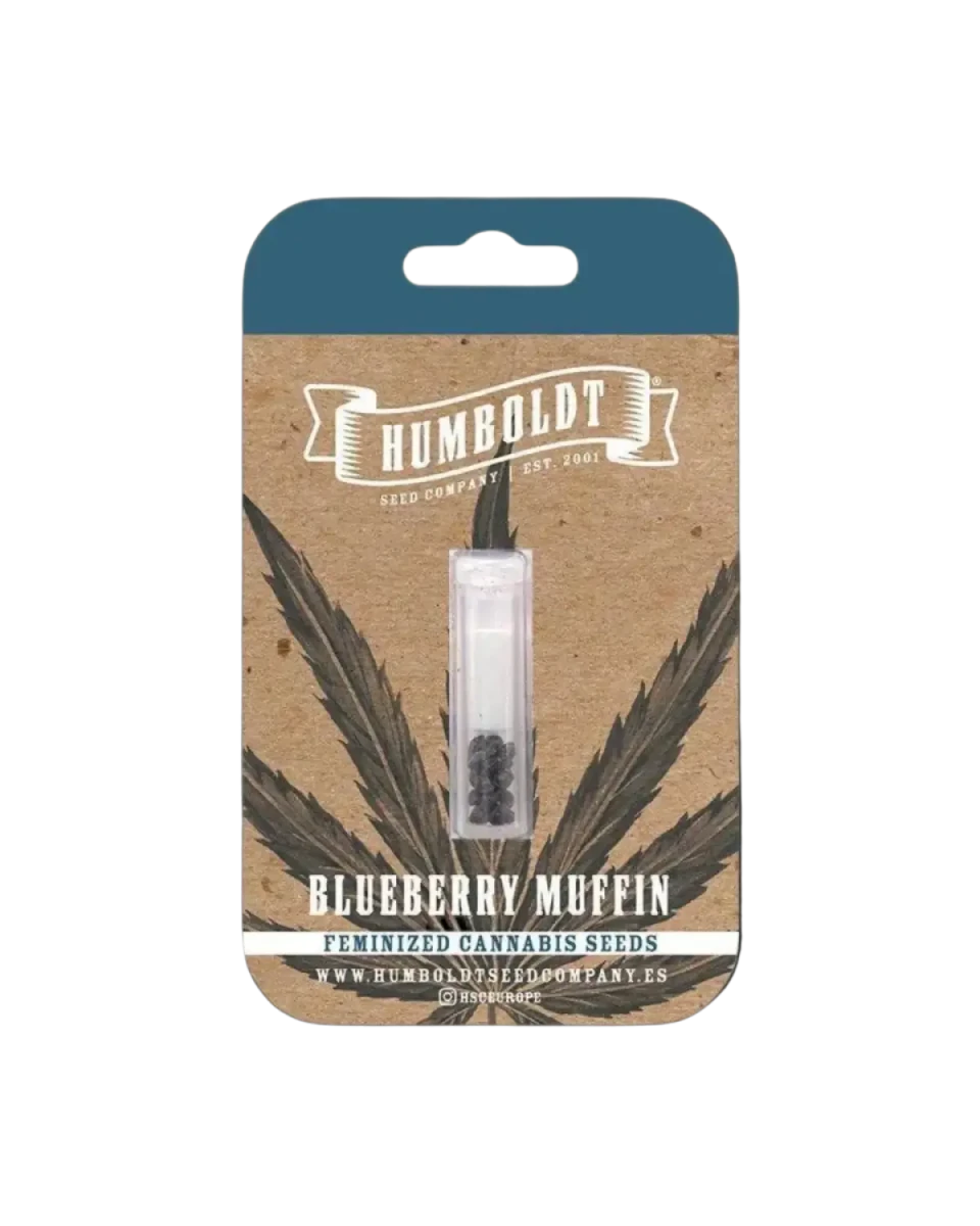 Blueberry Muffin Humboldt Seed Company