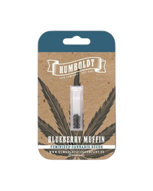 Blueberry Muffin Humboldt Seed Company