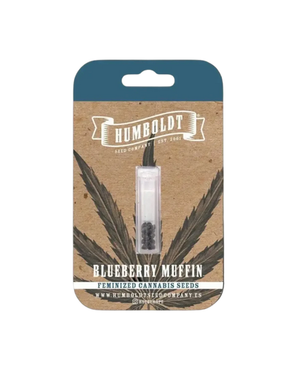 Blueberry Muffin Humboldt Seed Company