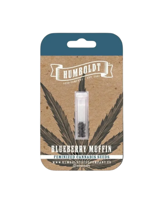 Blueberry Muffin Humboldt Seed Company