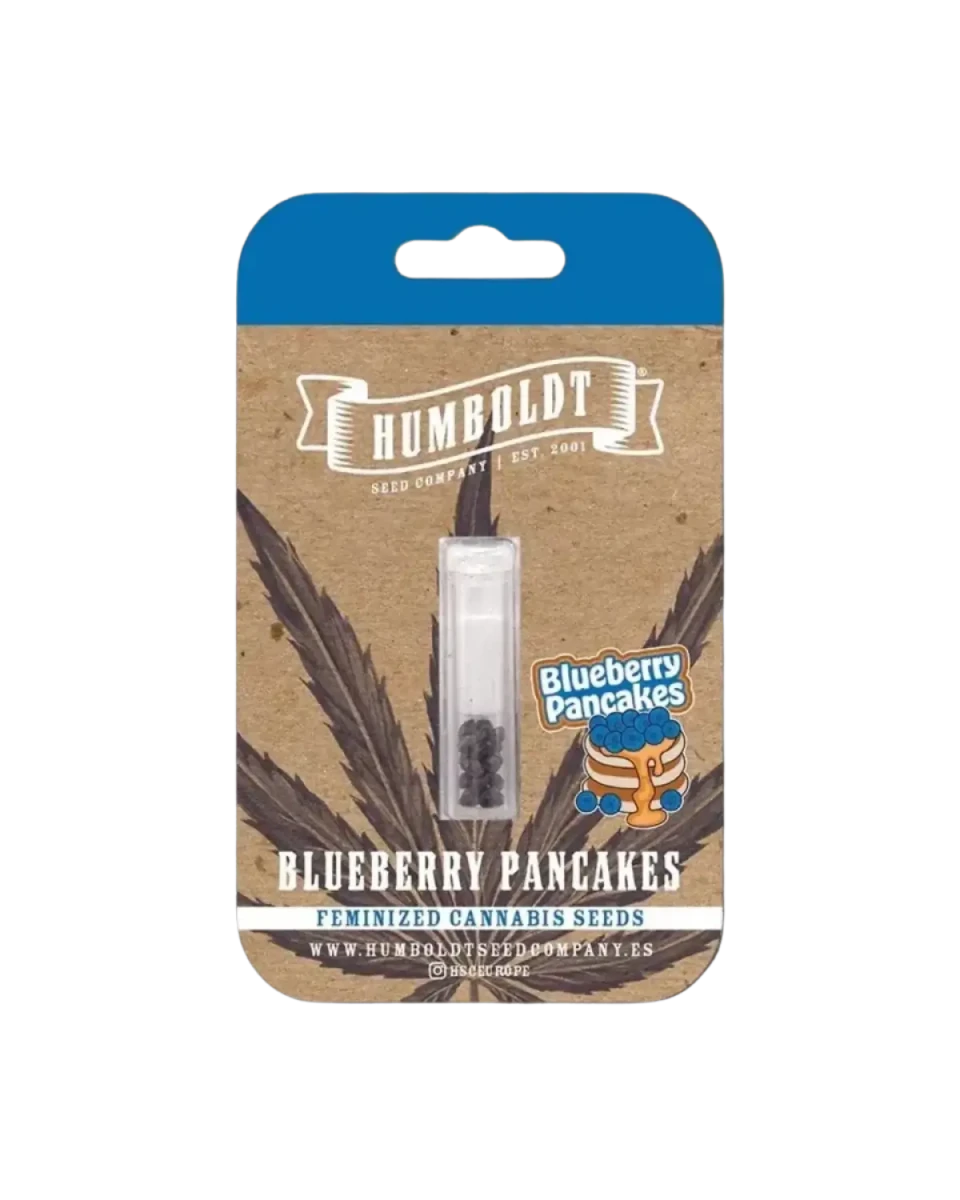 Blueberry Pancakes Humboldt Seed Company
