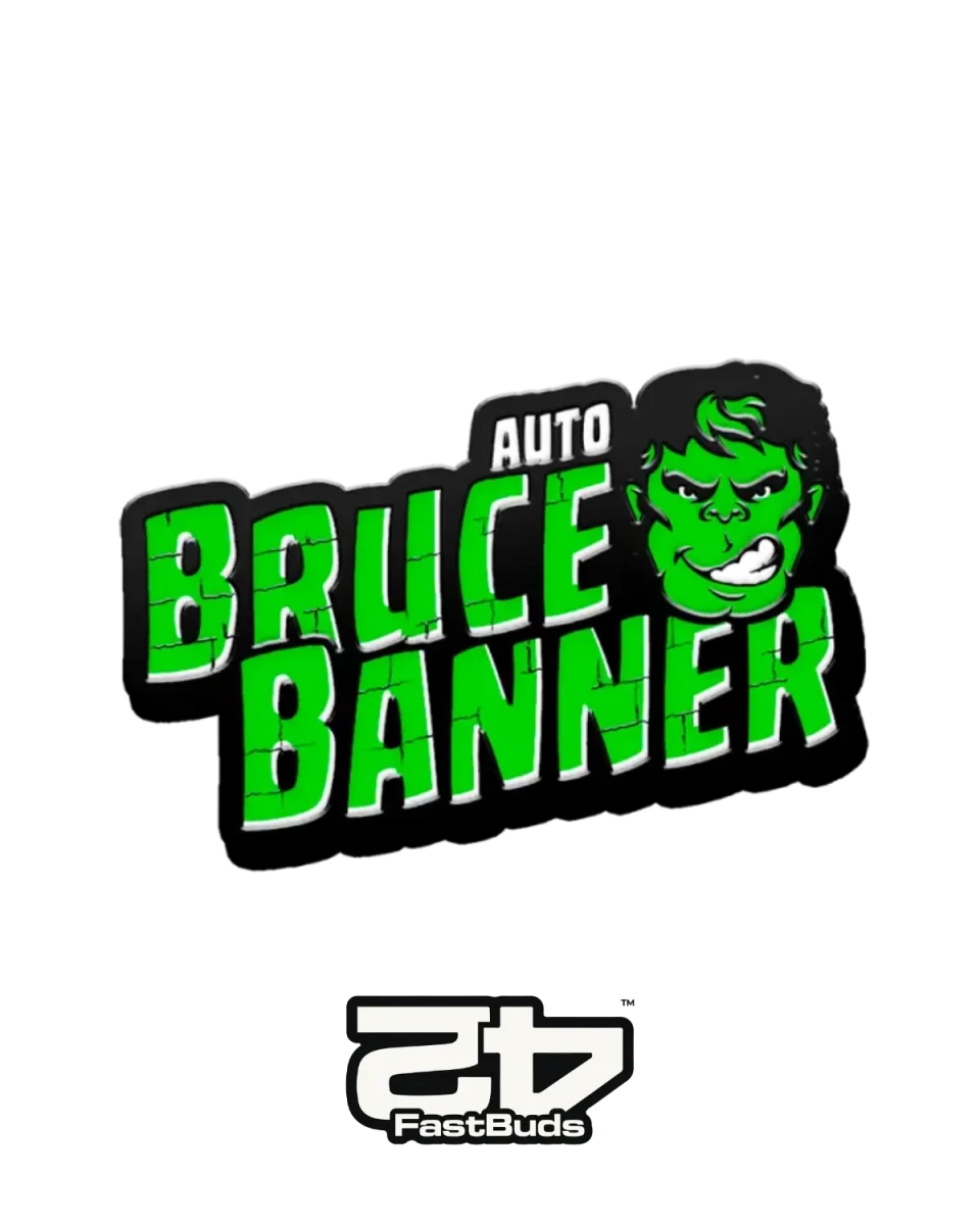 Bruce Banner Auto Cannabis Samen von Fast Buds