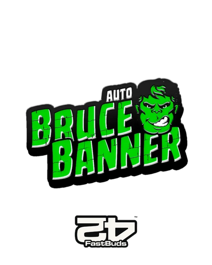 Bruce Banner Auto Cannabis Samen von Fast Buds