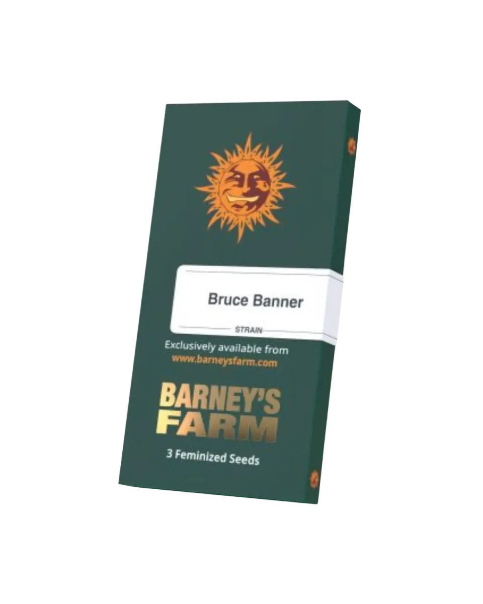 Bruce Banner Originalverpackung Cannabis Samen