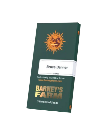 Bruce Banner Originalverpackung Cannabis Samen