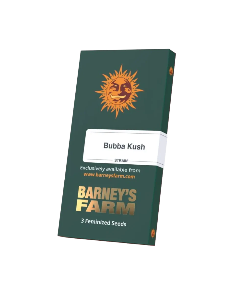 Bubba Kush Cannabissamen von Barney's Farm – feminisierte Indica mit 29 % THC