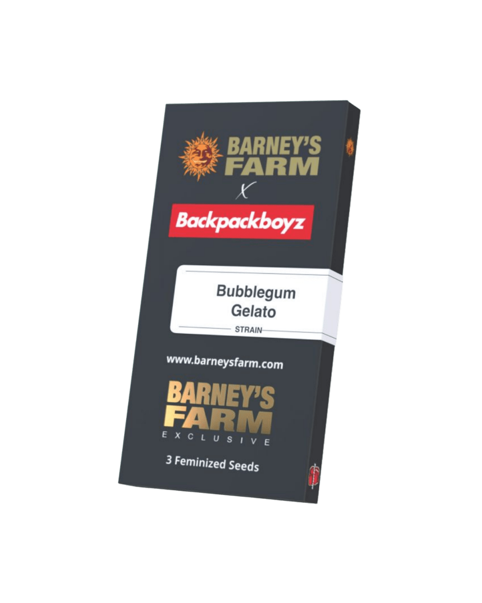 Bubblegum Gelato Cannabis Samen Originalverpackung