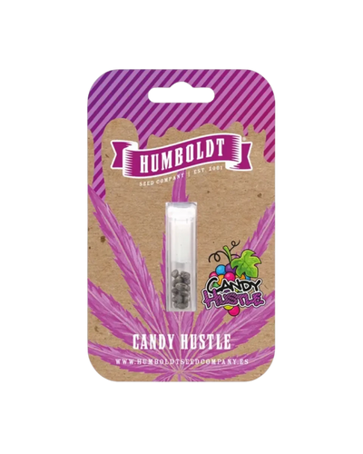 Candy Hustle