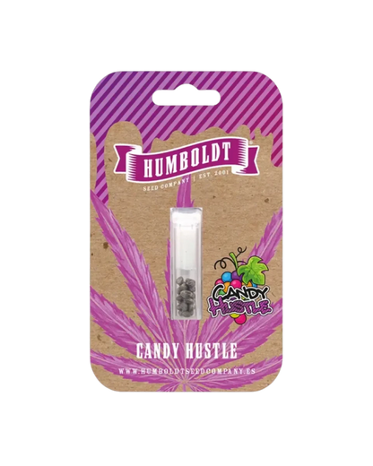 Candy Hustle von Humboldt Seed Company