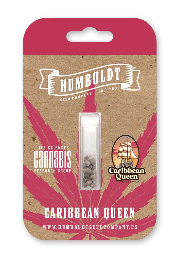 Packung Caribbean Queen von Humboldt Seed Company, reine Sativa