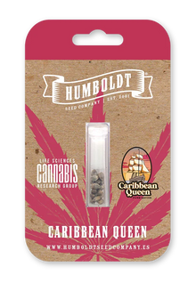 Packung Caribbean Queen von Humboldt Seed Company, reine Sativa