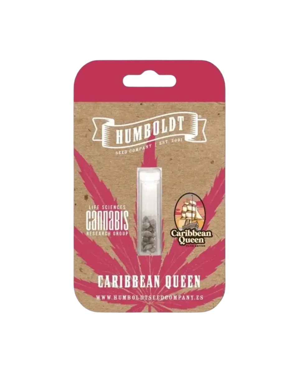 Caribbean Queen (Pure Sativa)