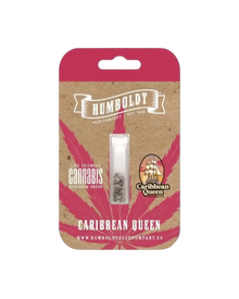 Caribbean Queen (Pure Sativa)