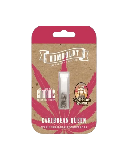 Caribbean Queen (Pure Sativa)