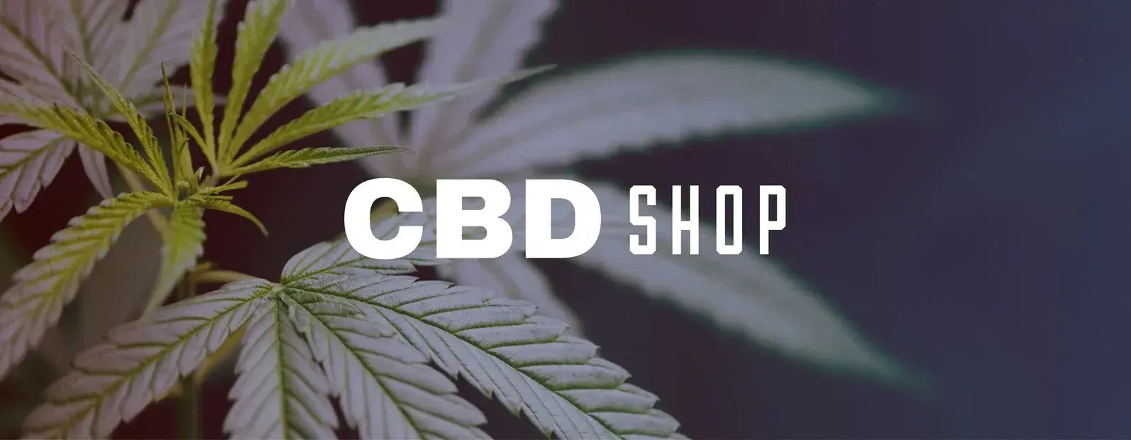 CBD Shop in Hof Saale, Blüten, CBD Cookies und Brownies, CBD Fruchtgummies