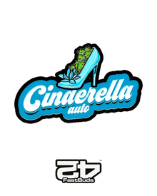 Cinderella Auto von Fast Buds – autoflowering, sativabetonte Cannabissamen mit fruchtig-süßem Aroma.