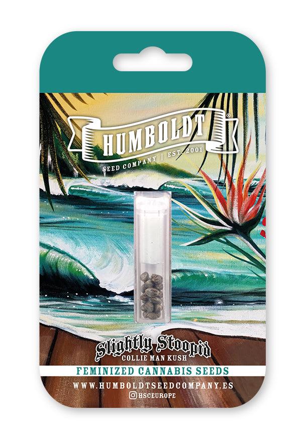 humboldt-seed-company-collie-man-kush