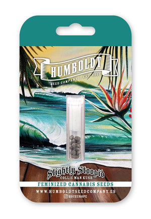humboldt-seed-company-collie-man-kush