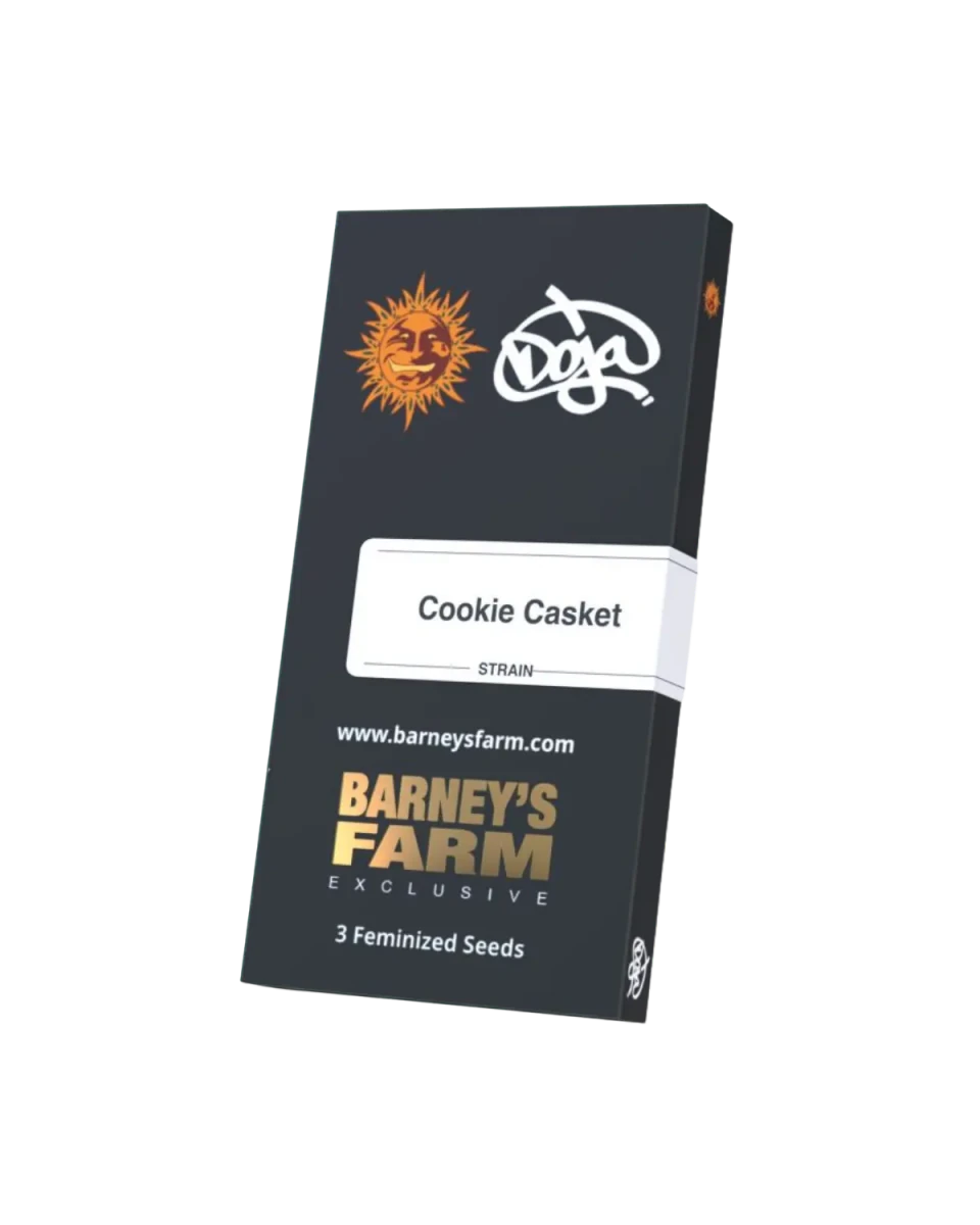 Cookie Casket von Doja und Barney's Farm, Originalverpackung