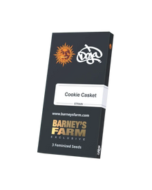 Cookie Casket von Doja und Barney's Farm, Originalverpackung