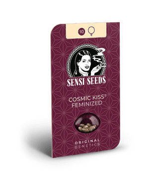 sensi-seeds-cosmic-kiss