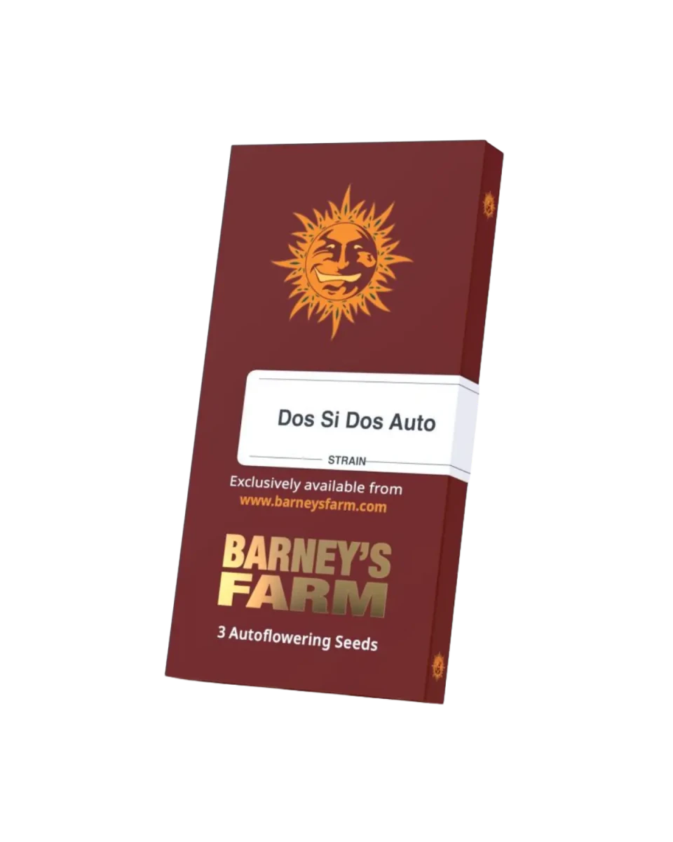 Dos Si Dos Auto Originalverpackung