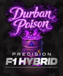 Durban Poison F1
