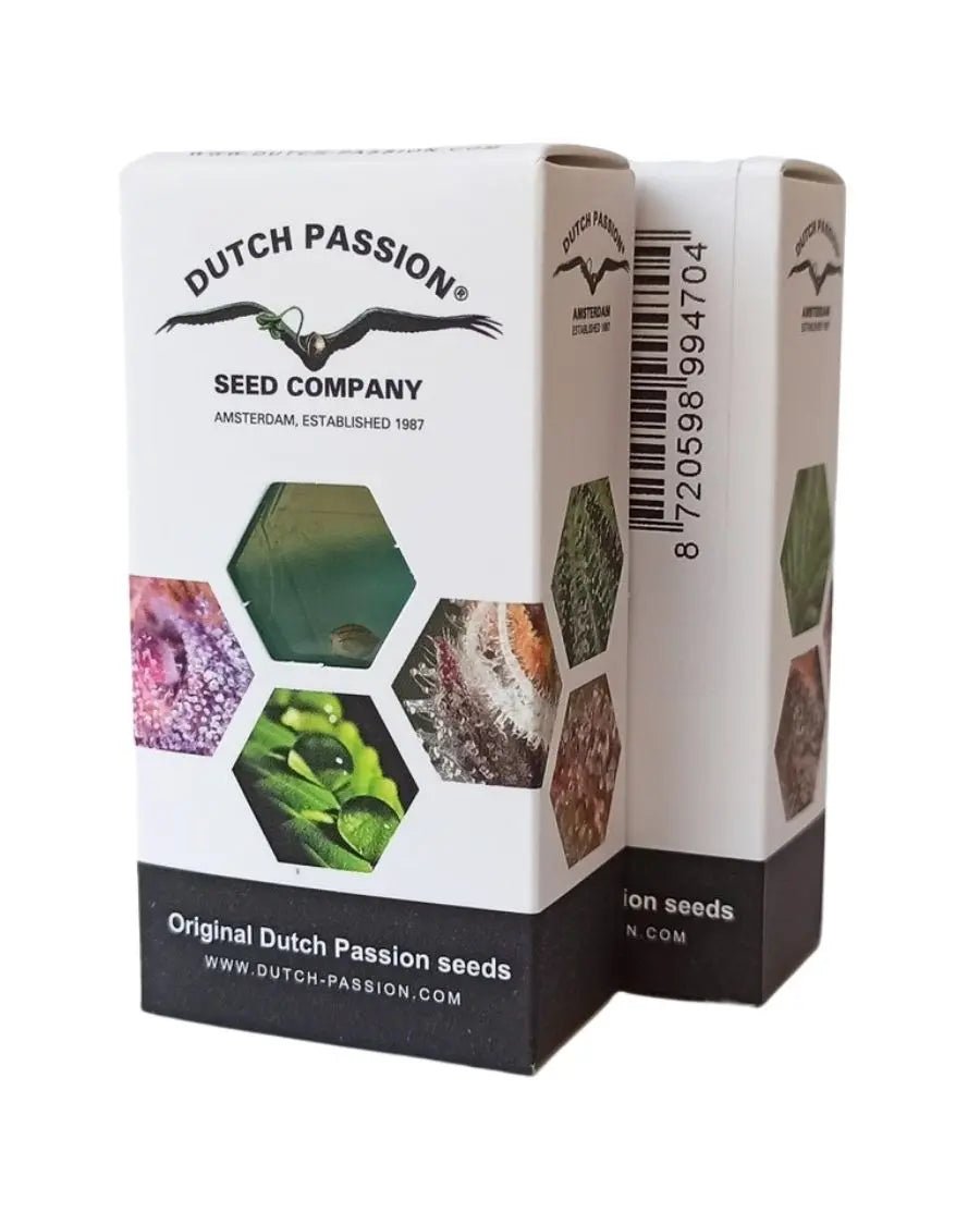 Dutch Passion Originalverpackung