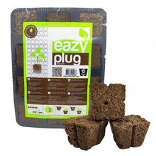 EazyPlug Anzuchtwürfel 12er Packung