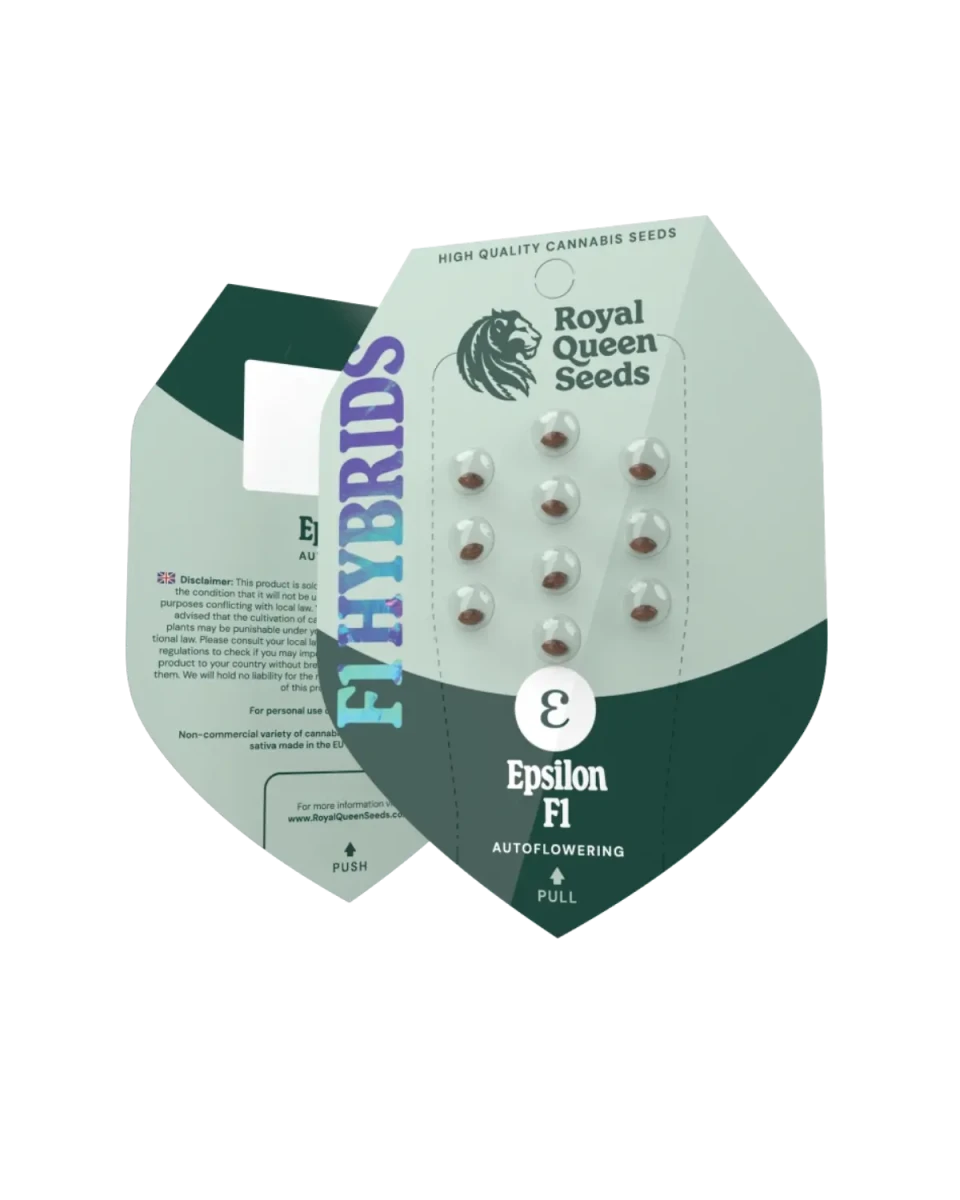 Epsilon F1 Autoflowering Samen