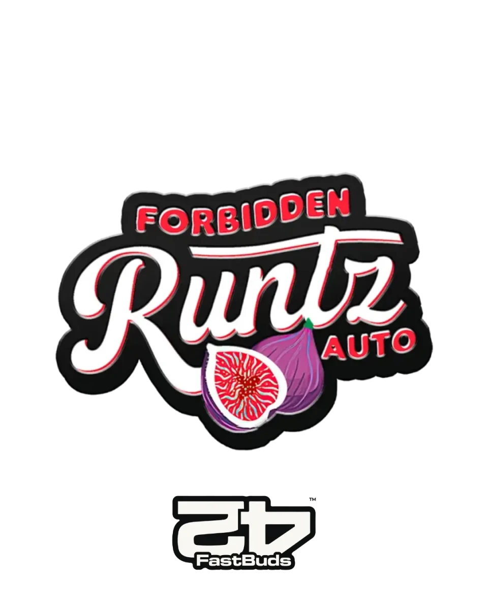 Cannabis Samen Forbidden Runtz Auto von 420 Fast Buds
