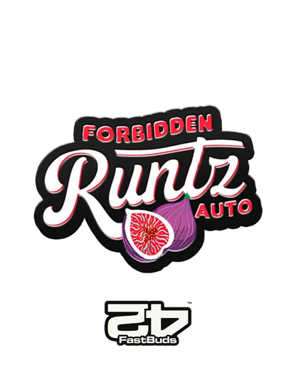 Cannabis Samen Forbidden Runtz Auto von 420 Fast Buds