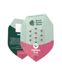 Forbidden Fruit Originalpackung, Royal Queen Seeds