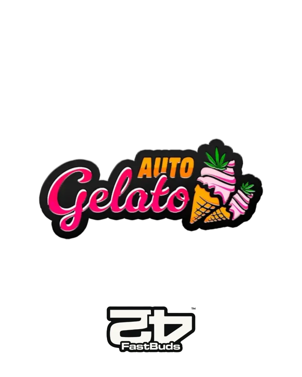 Gelato Auto Cannabis Samen