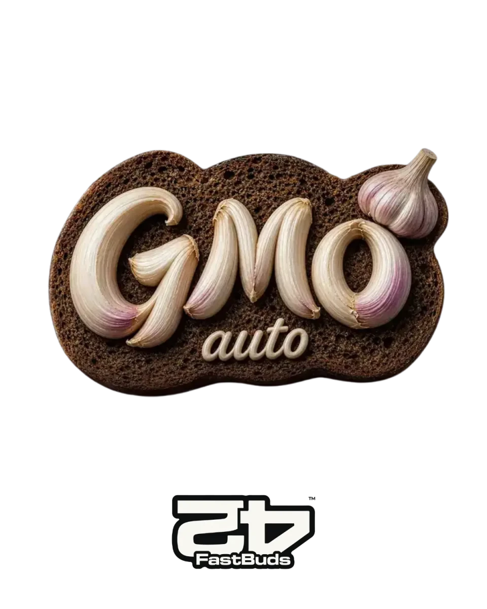 GMO Auto Cannabis Samen von 420 Fast Buds – autoflowering, feminisiert, bis 28 % THC