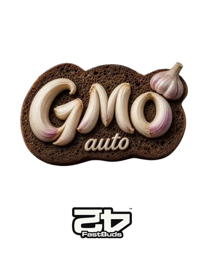 GMO Auto Cannabis Samen von 420 Fast Buds – autoflowering, feminisiert, bis 28 % THC