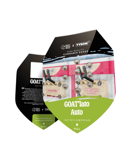 Originalverpackung GOAT'lato Auto