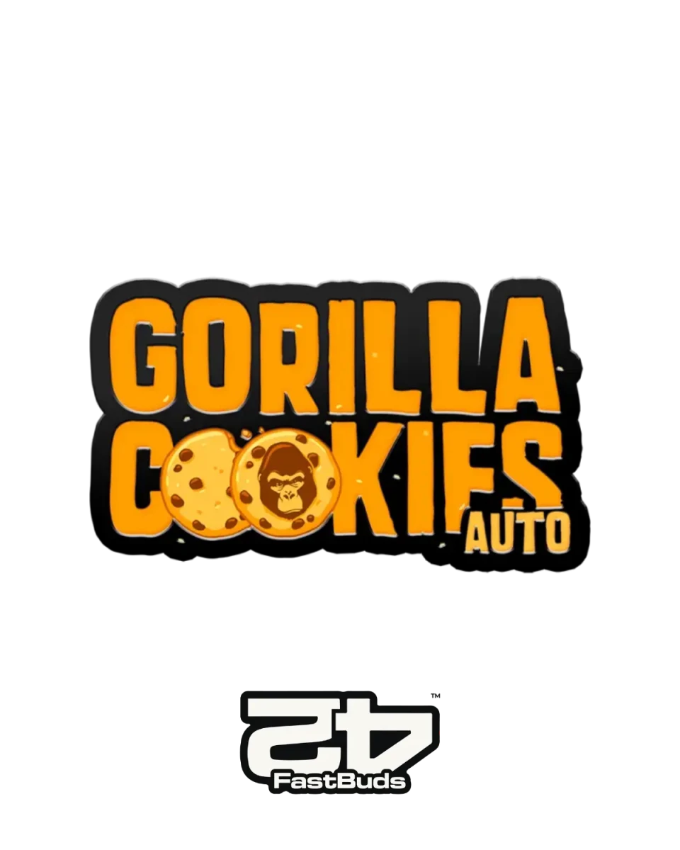 Gorilla Cookies Auto von Fast Buds