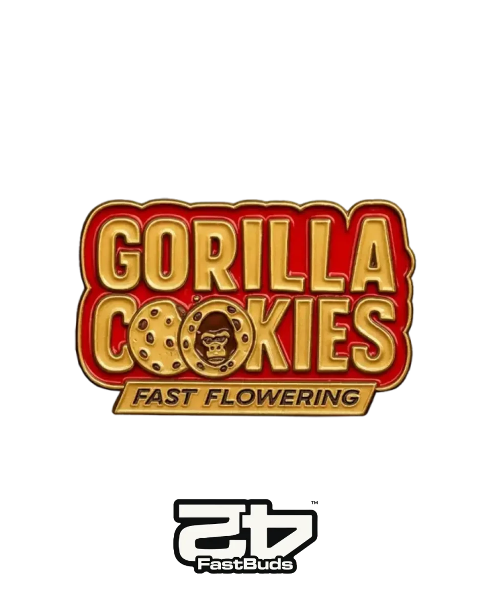 Gorilla Cookies Fast Flowering