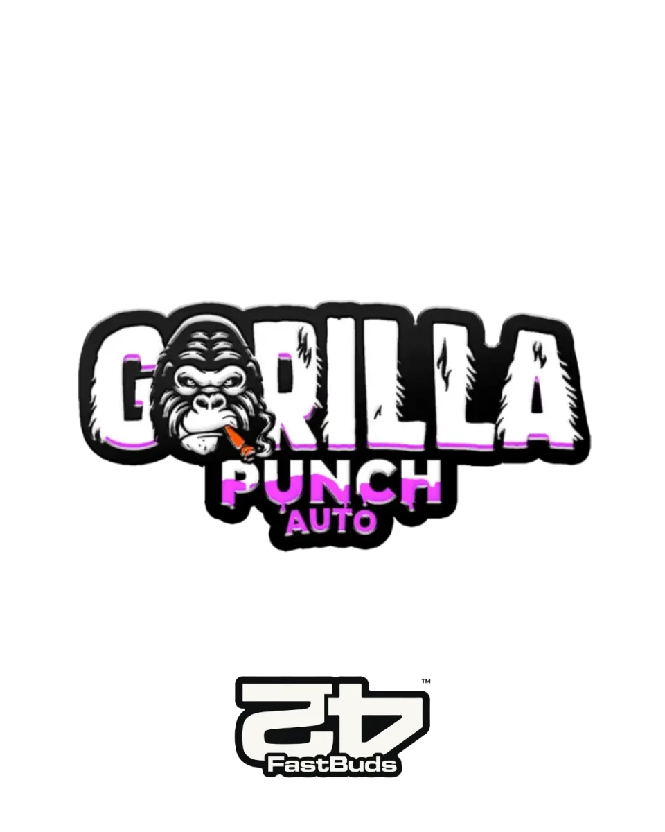 Gorilla Punch Auto