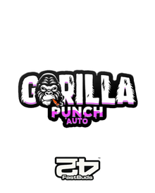 Gorilla Punch Auto
