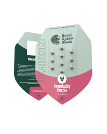 Grandaddy Purple von Royal Queen Seeds; Samenpackung