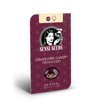 sensi-seeds-grapevine-candy