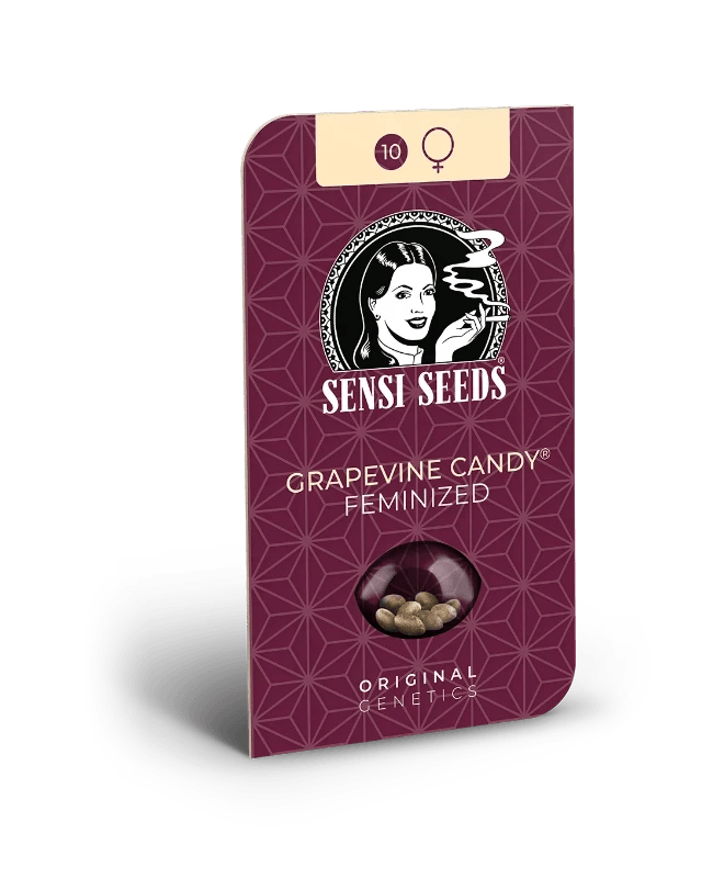 sensi-seeds-grapevine-candy