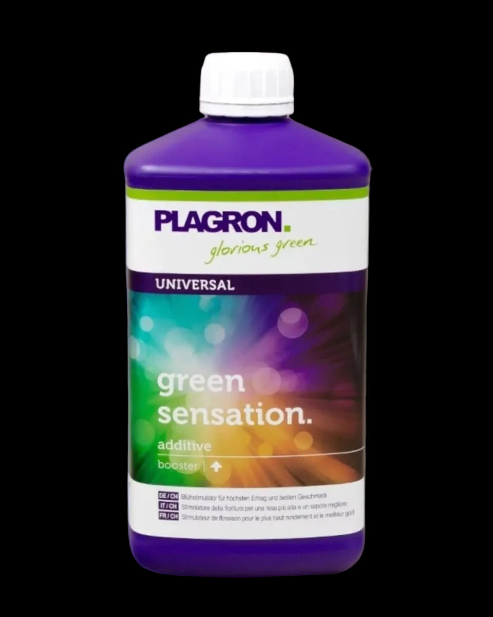 Green Sensation