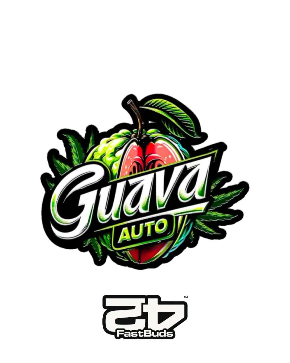 Guava Auto Fast Buds