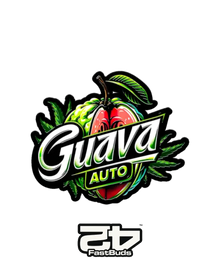 Guava Auto Fast Buds