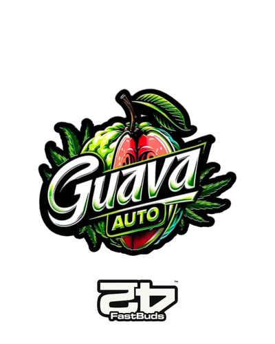 Guava Auto